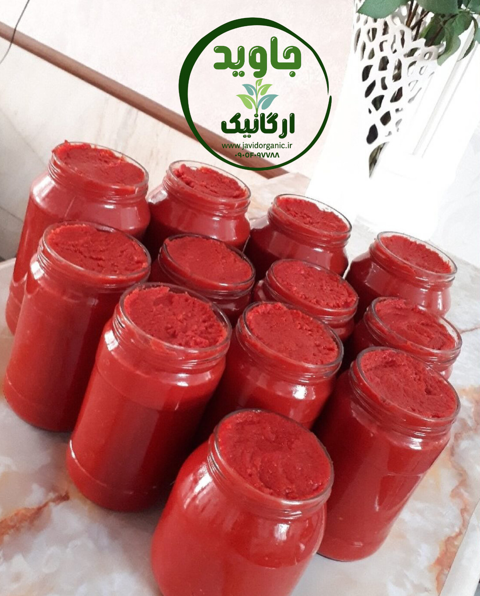 رب گوجه خانگی ارگانیک جاوید
